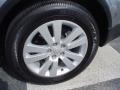 2009 Tribeca Special Edition 5 Passenger #4