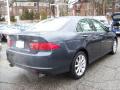 2008 TSX Sedan #5