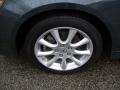 2008 TSX Sedan #19