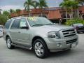2008 Expedition Limited #1
