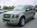 2008 Expedition Limited #8