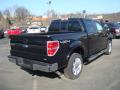 2010 F150 Lariat SuperCrew 4x4 #3