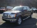 2010 F150 Lariat SuperCrew 4x4 #10