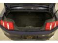 2010 Mustang V6 Convertible #24