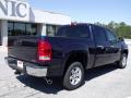 2009 Sierra 1500 SLE Crew Cab #8