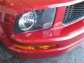 2007 Mustang V6 Deluxe Coupe #4