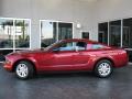 2007 Mustang V6 Deluxe Coupe #5