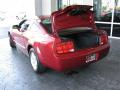 2007 Mustang V6 Deluxe Coupe #8