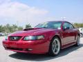 2003 Mustang GT Coupe #7