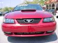 2003 Mustang GT Coupe #8