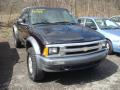 1996 S10 LS Extended Cab 4x4 #1