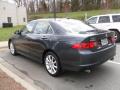 2007 TSX Sedan #2