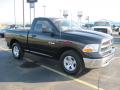 2009 Ram 1500 SLT Regular Cab #3