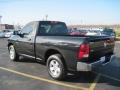2009 Ram 1500 SLT Regular Cab #12