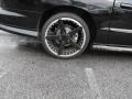 2001 Firebird Coupe #7