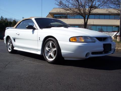 Ultra White Ford Mustang SVT Cobra Convertible.  Click to enlarge.