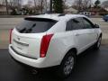 2010 SRX V6 #4 2010 SRX V6 #4