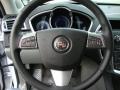2010 SRX V6 #17 2010 SRX V6 #17