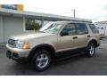 2003 Explorer XLT #3