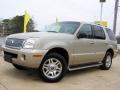 2004 Mountaineer V8 Premier AWD #12