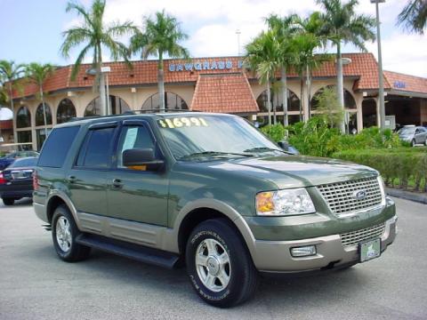 Estate Green Metallic Ford Expedition Eddie Bauer.  Click to enlarge.