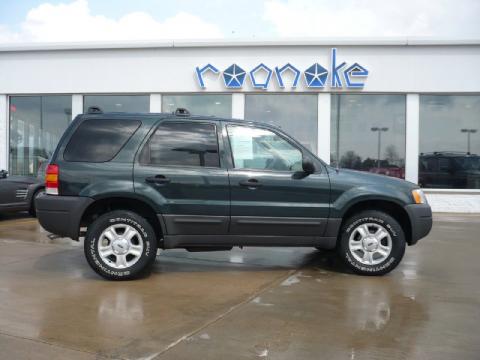 Aspen Green Metallic Ford Escape XLT V6 4WD.  Click to enlarge.