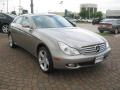 2006 CLS 500 #8