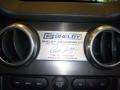2009 Mustang Shelby GT500KR Coupe #24