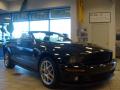 2009 Mustang Shelby GT500KR Coupe #26