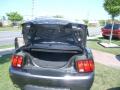 2003 Mustang GT Convertible #9