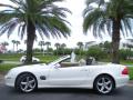 2006 SL 500 Roadster #13