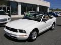 2008 Mustang V6 Premium Convertible #19