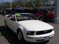 2008 Mustang V6 Premium Convertible #22