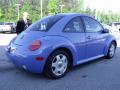 2001 New Beetle GLS 1.8T Coupe #5