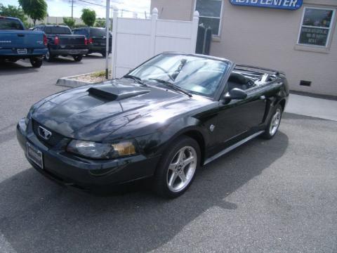 Black Ford Mustang GT Convertible.  Click to enlarge.