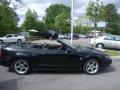 2004 Mustang GT Convertible #6