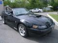 2004 Mustang GT Convertible #8