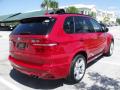 2010 X5 M  #18
