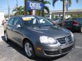 2008 Volkswagen Jetta SE Sedan Platinum Grey Metallic