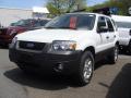 2007 Ford Escape XLT V6 4WD Oxford White