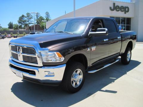 Rugged Brown Pearl Dodge Ram 3500 Big Horn Edition Crew Cab 4x4.  Click to enlarge.