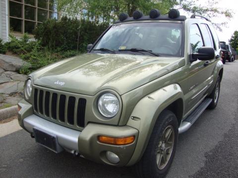 Cactus Green Metallic Jeep Liberty Renegade 4x4.  Click to enlarge.