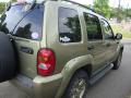 2002 Liberty Renegade 4x4 #7