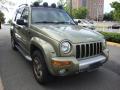 2002 Liberty Renegade 4x4 #8