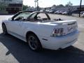 2001 Mustang GT Convertible #3