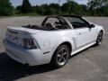 2001 Mustang GT Convertible #5