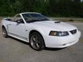 2001 Mustang GT Convertible #7