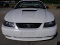 2001 Mustang GT Convertible #8