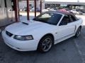 2001 Mustang GT Convertible #17