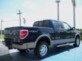 2010 F150 Lariat SuperCrew 4x4 #3 2010 F150 Lariat SuperCrew 4x4 #3